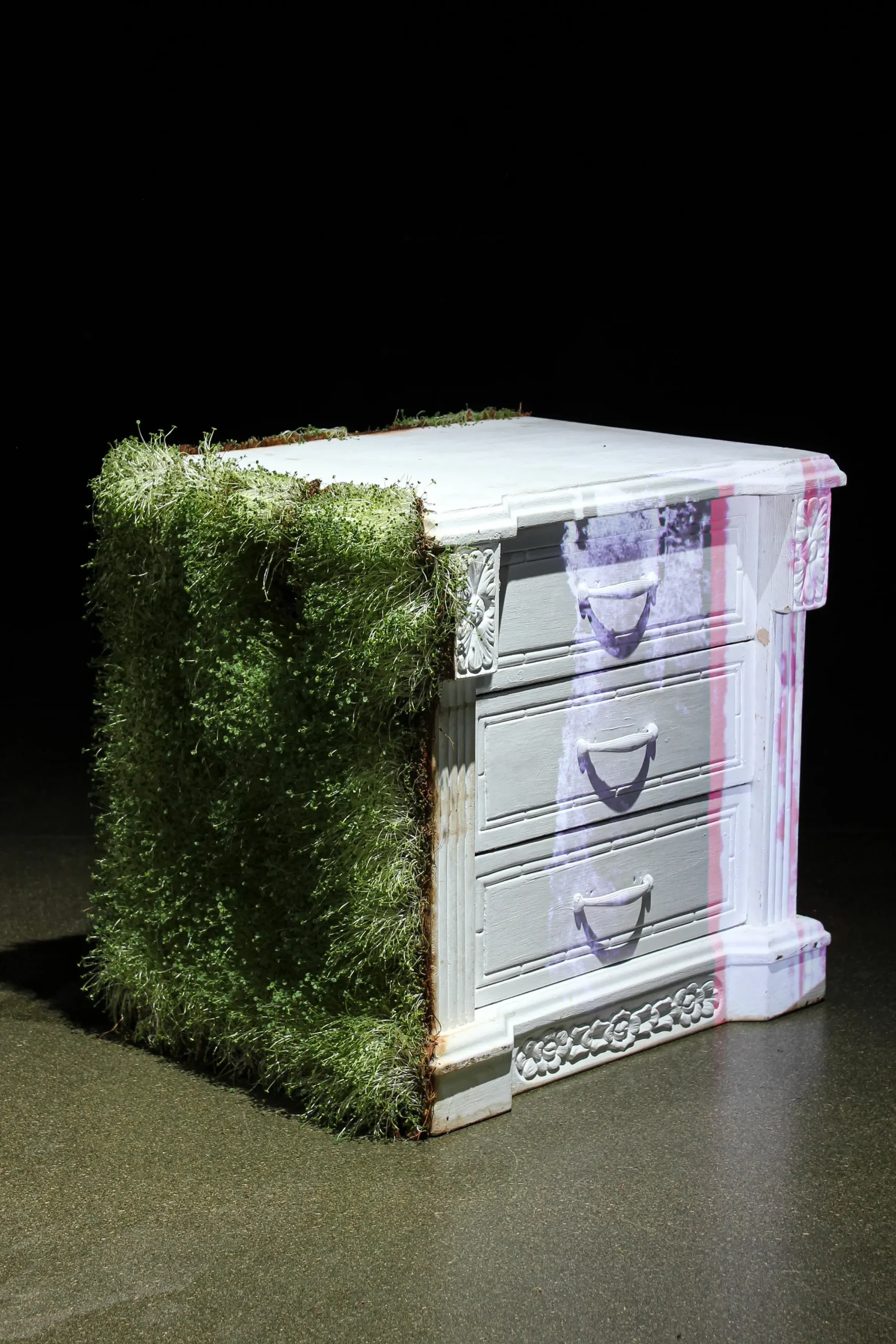4. Germinado sobre mesa de noche (1)